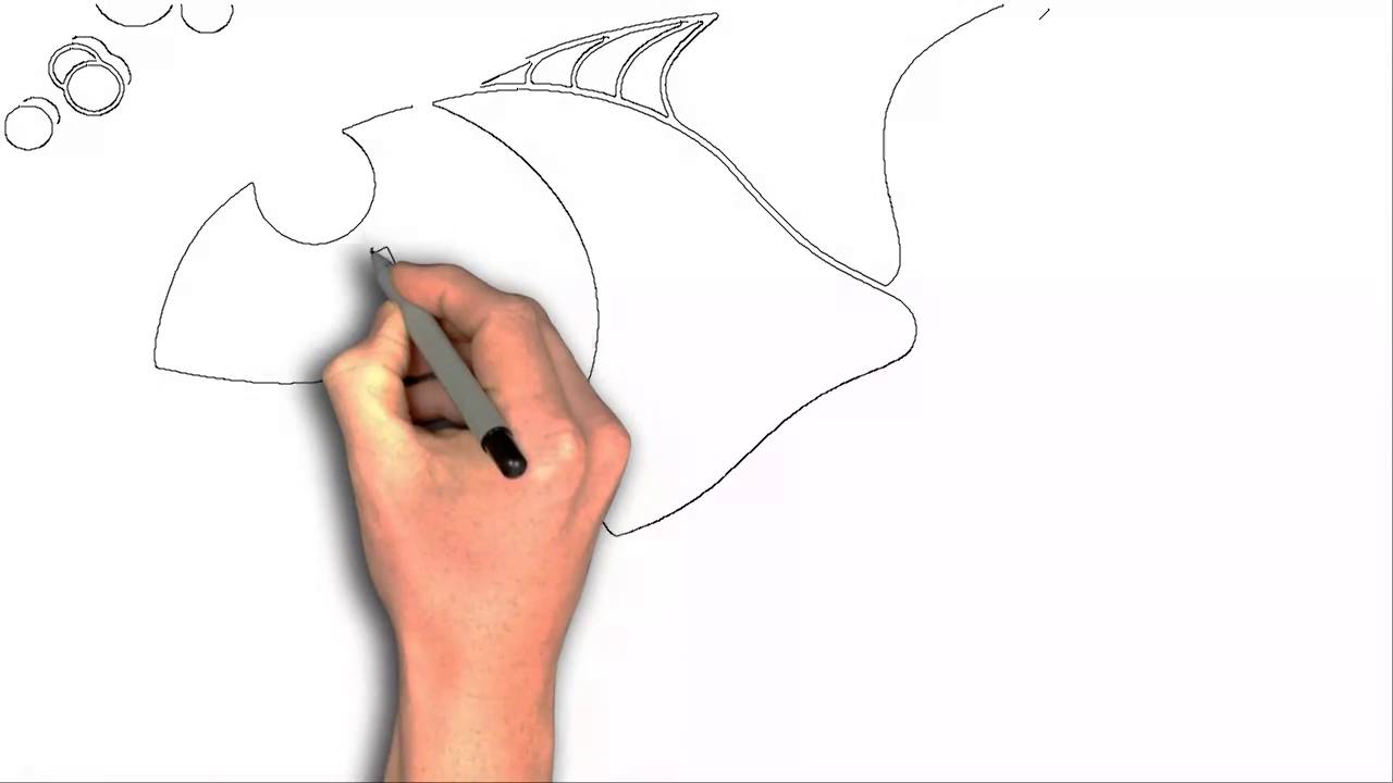 1280x720 How To Draw Fish Clipart Cartoon Drawing