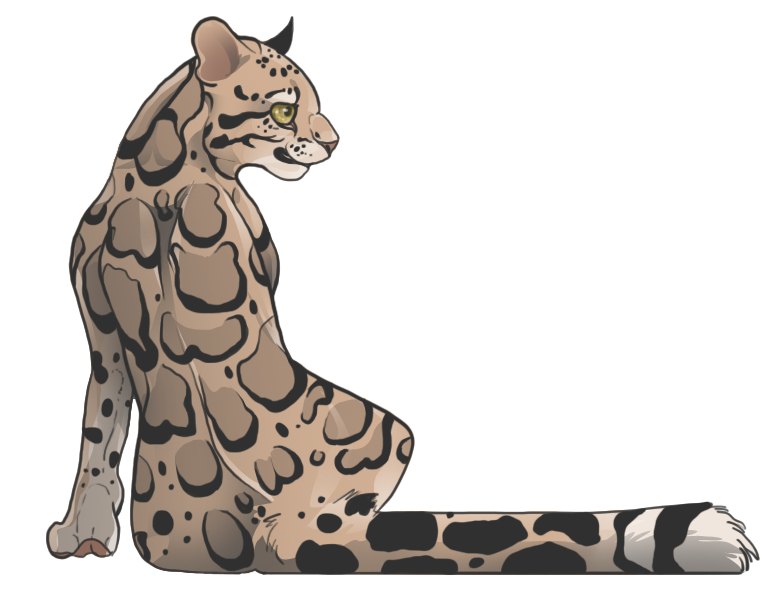 768x592 Clouded Leopard By The F0x