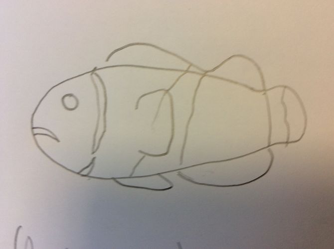 670x500 How To Draw A Clownfish 9 Steps (With Pictures)