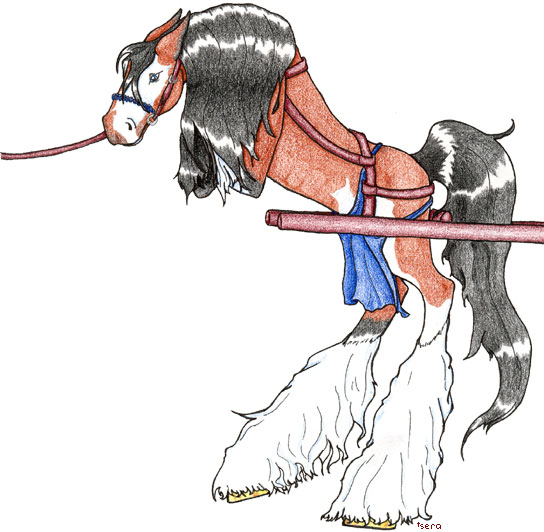 544x532 Clydesdale Anthro By Seraaches