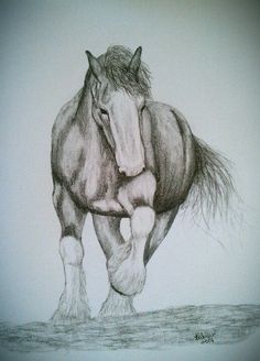 236x328 Horse Drawings Horse Drawing By Et Foster Traditional Art