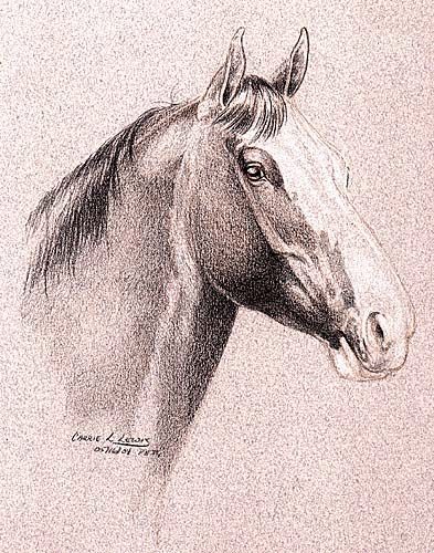 393x500 Sketching With Colored Pencils