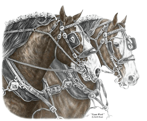 600x497 Pin By Ilaria Dotti On Horses In Art Draft Horses I (Tacked Up