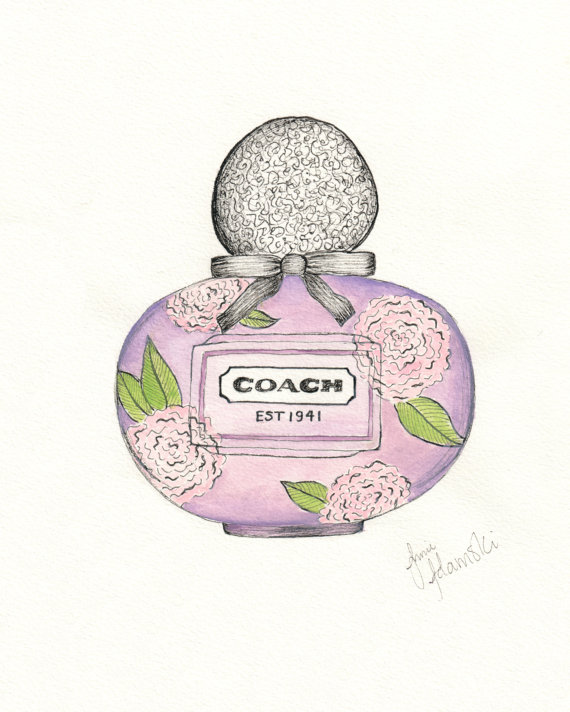 570x712 Coach Poppy Flower Drawing Print Pen And Ink With Watercolor