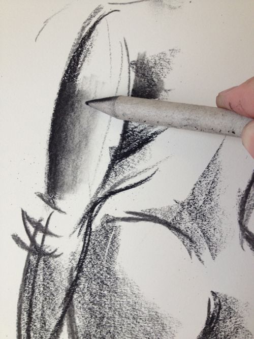 500x667 Shadow And Smudge A Drawing With Charcoal Tutorial Drawings