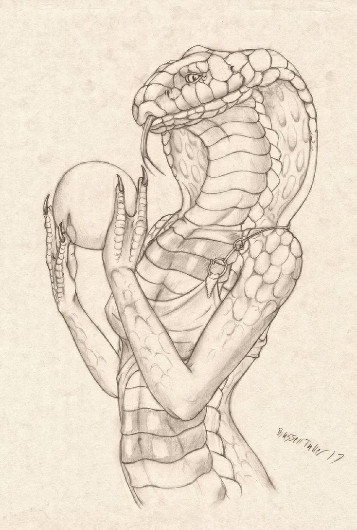 734x1088 Female Cobra Study By Russelltuller