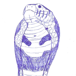 302x302 Indian Cobra Head By Zaseishin