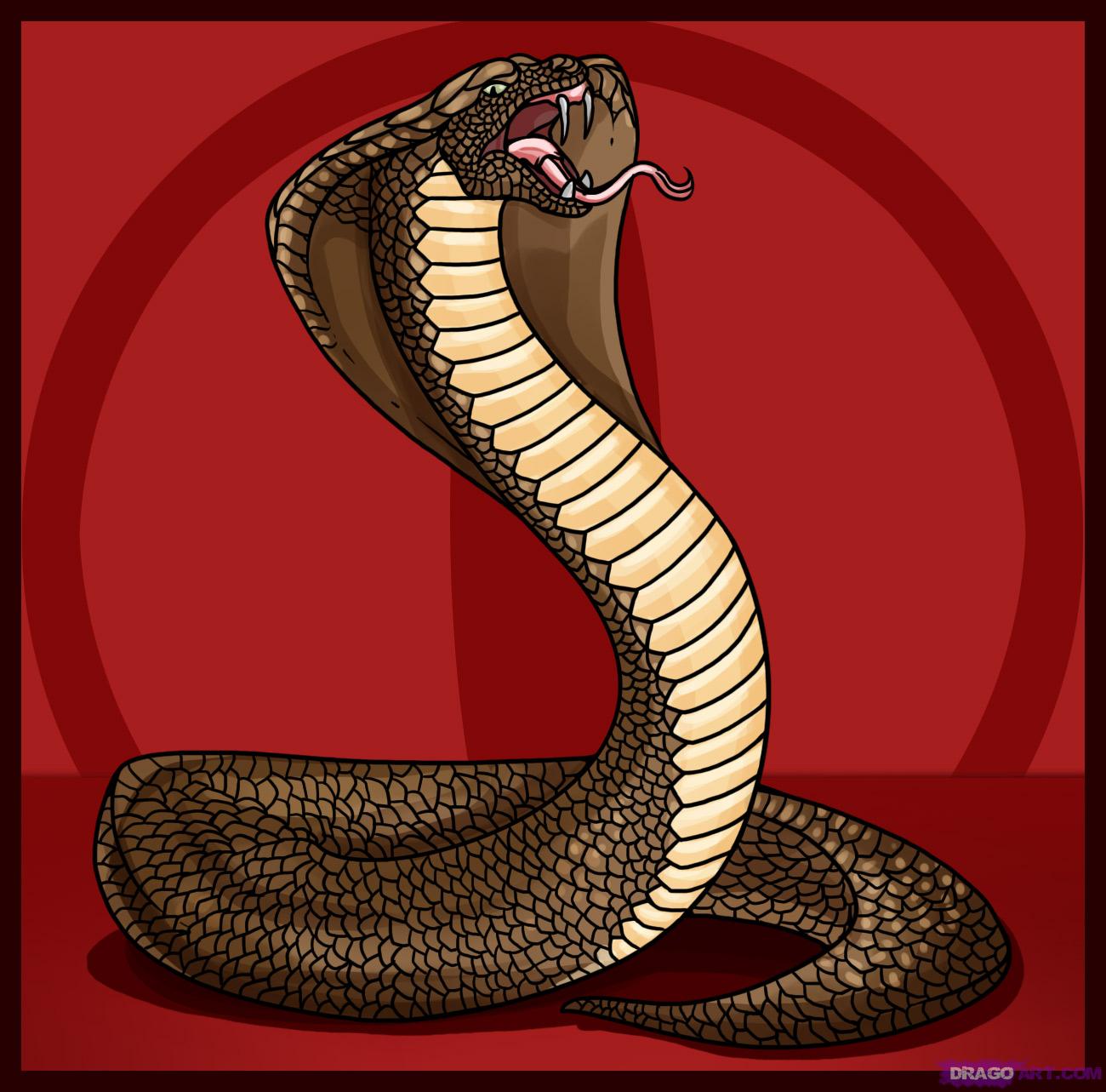 1300x1283 How To Draw A King Cobra Snake Snake Art King Cobra