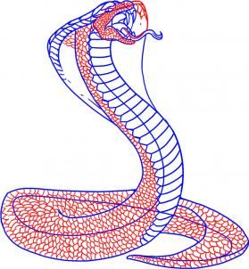 279x302 How To Draw A King Cobra Snake Step 6 Chennai The King Cobra