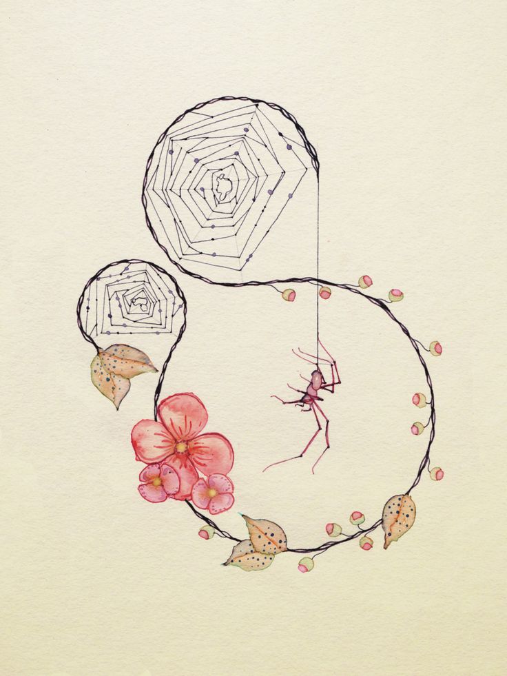 736x981 Image Result For Delicate Spider Web Drawing Nature Sleeve