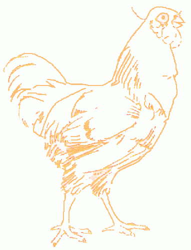 382x500 Exam Guide Online