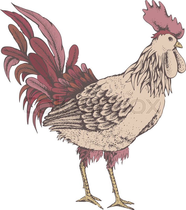 710x800 Illustration