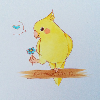 320x320 My Cockatiel Is Getting Drunk