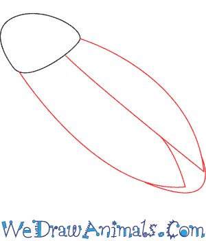 300x350 How To Draw A Cockroach