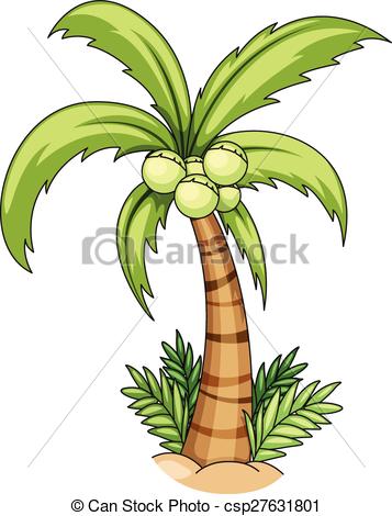 357x470 Closeup Single Coconut Tree With Coconuts Vector Clipart