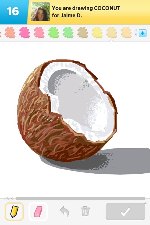 500x750 Coconut Drawings