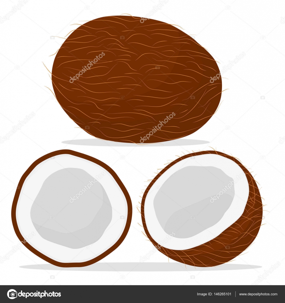 963x1024 Fruit White Coconut Stock Vector Oleg525