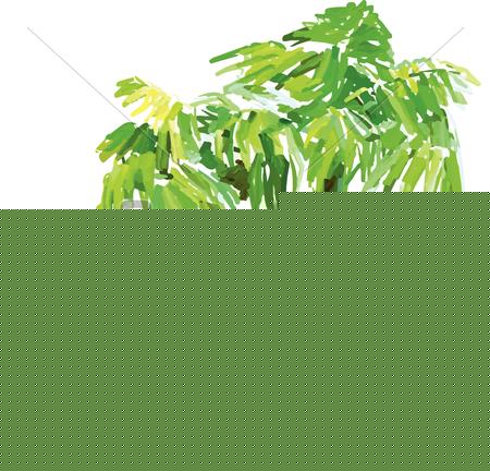 450x432 Coconut Palm Trees On Small Island. Vector Watercolor Clip Art