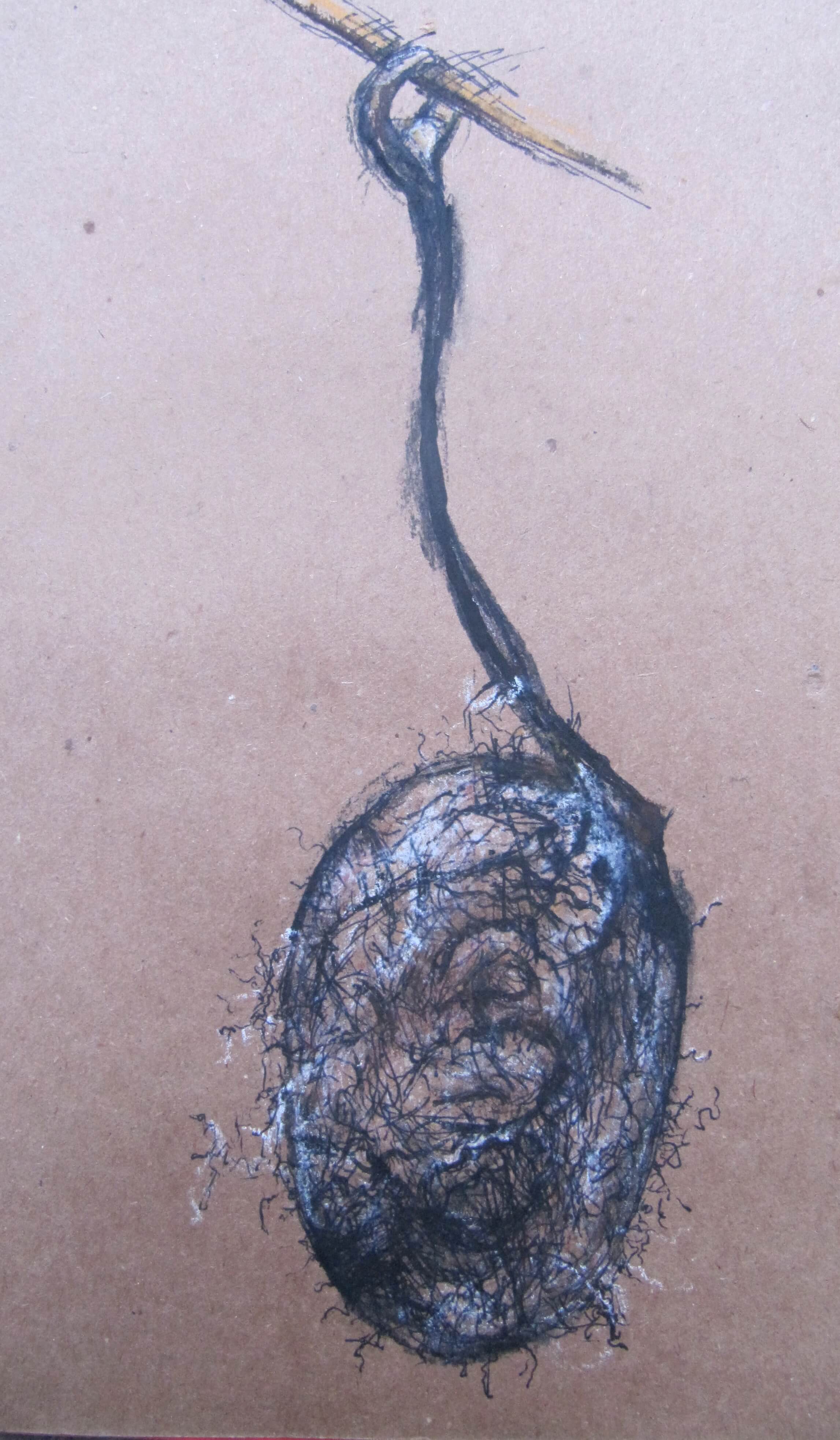 2294x3932 Silk Moth Cocoon Drawing Fiona Campbell Art