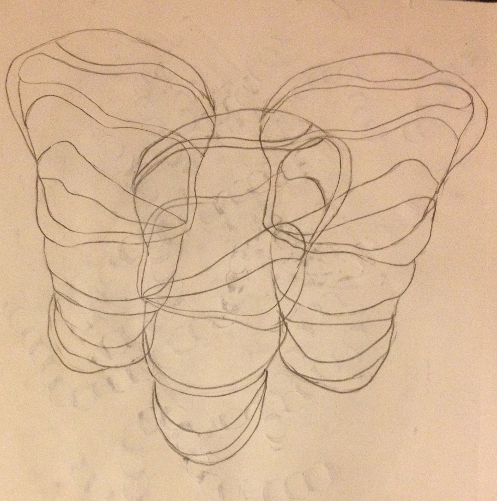 Cocoon Drawing at GetDrawings | Free download