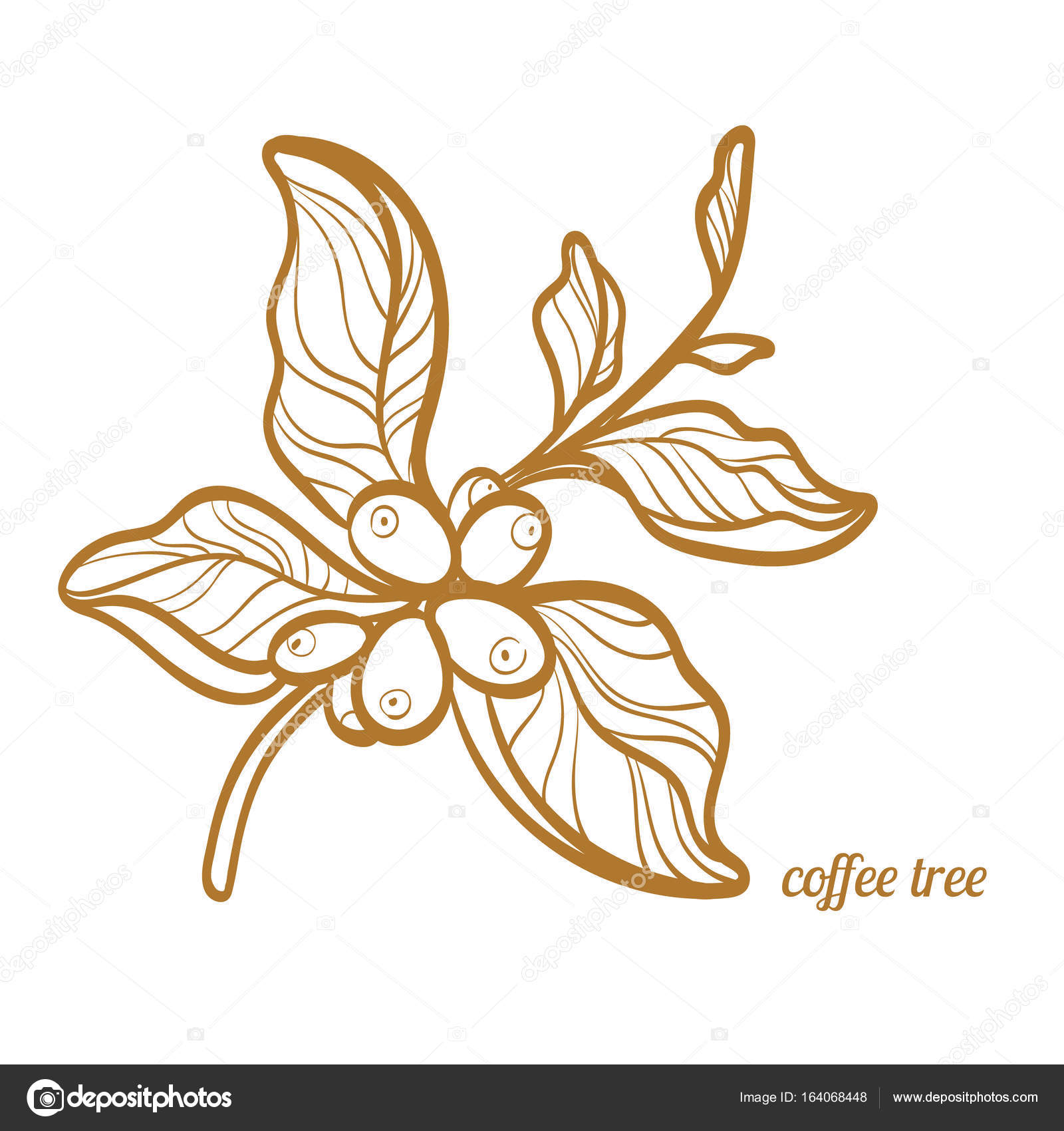 1600x1700 Branch Of Coffee Tree With Leaves And Natural Coffee Beans
