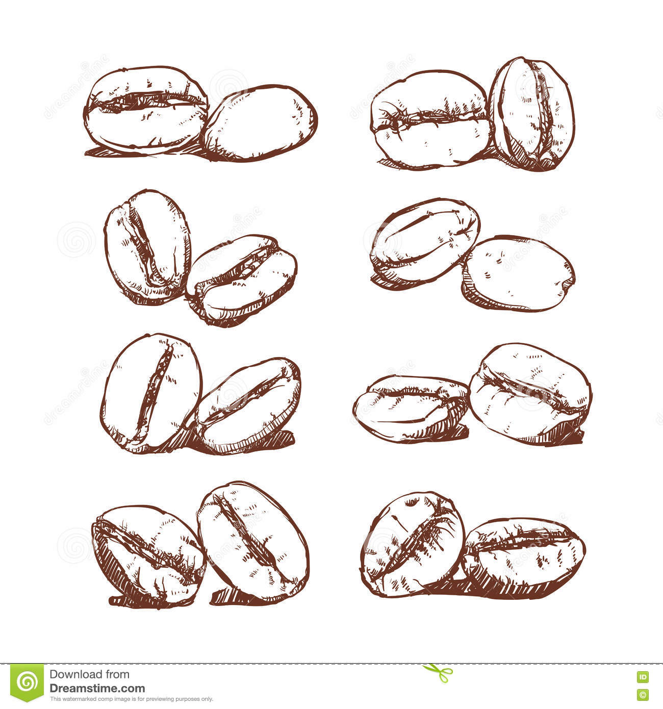 1300x1390 Coffee Bean Drawing Sketch Of Coffee Beans. Vector Drawing Stock