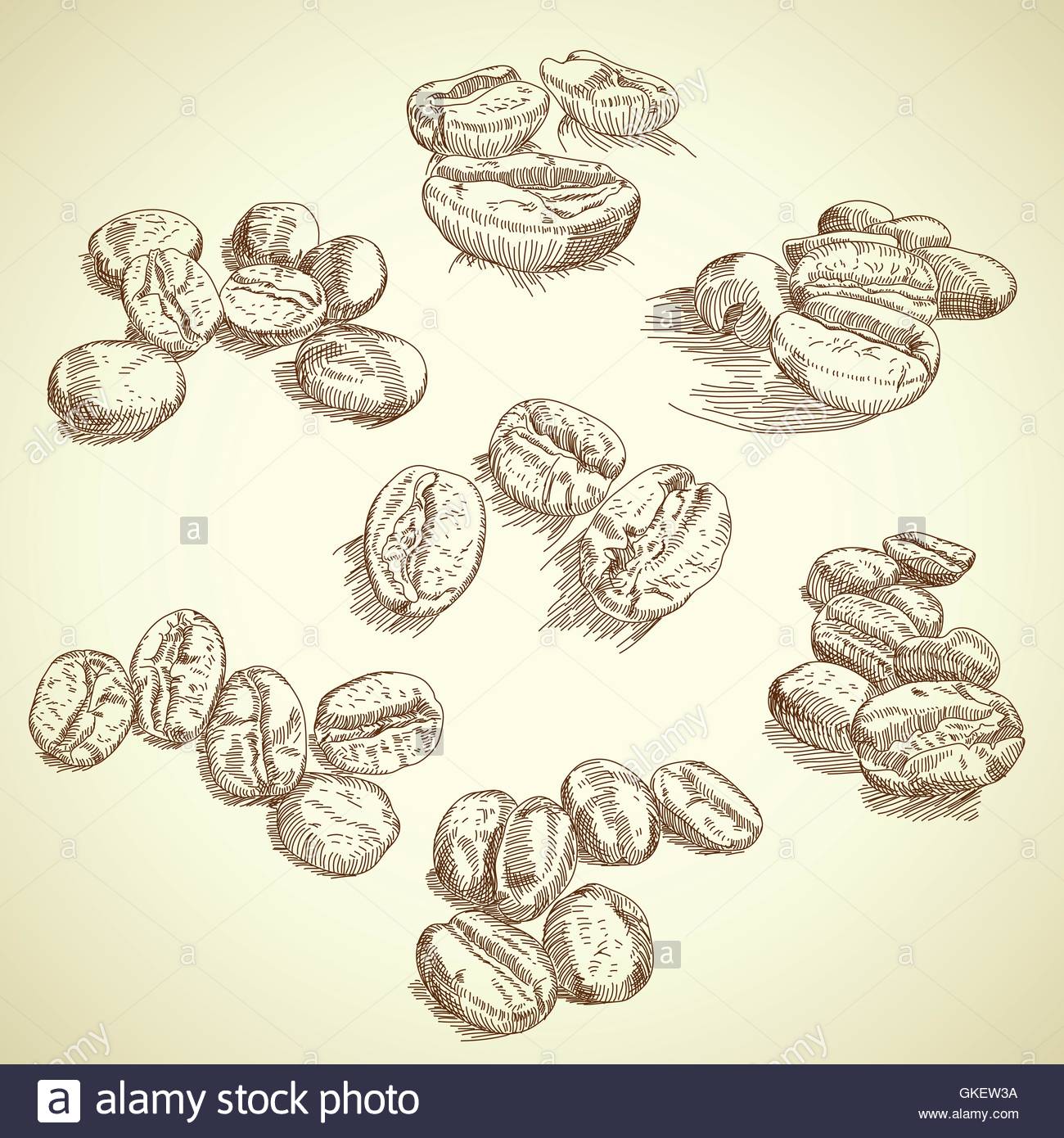 1300x1390 Coffee Beans, Drawing Stock Vector Art Amp Illustration, Vector