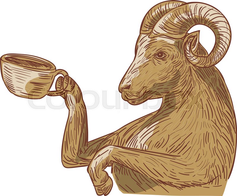 800x661 Drawing Sketch Style Illustration Of A Ram Goat Drinking Coffee