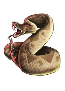 214x300 Rattlesnake Tattoo