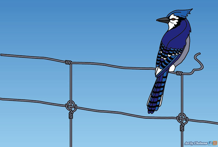 700x473 Winter Blues Finding Colour Inspiration In Cold Weather