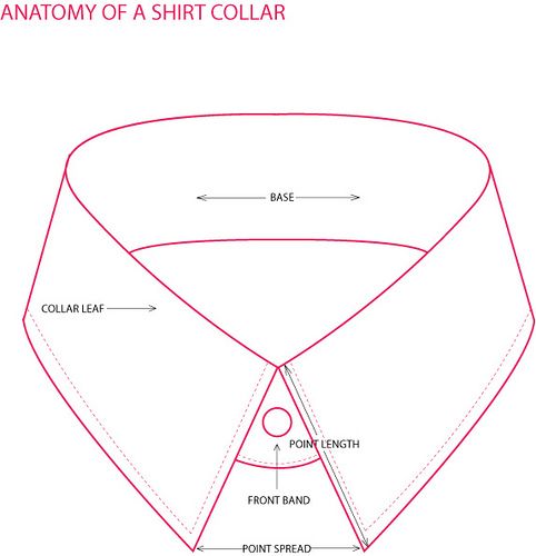 482x500 7 Best Anatomy Of A Shirt Images On Dress Shirts