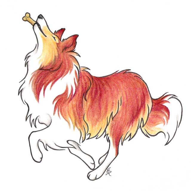 640x637 My Collie By Wildspiritwolf