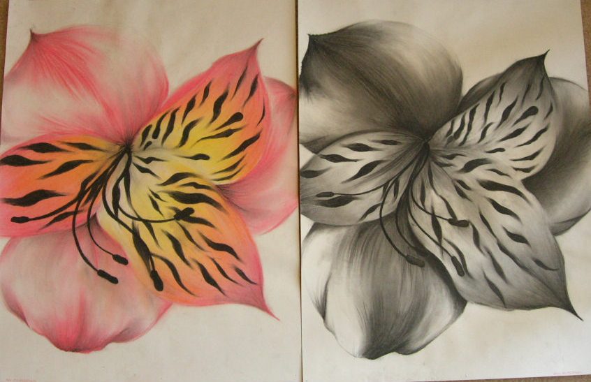 846x547 Color Vs. Black And White Sabot Studio