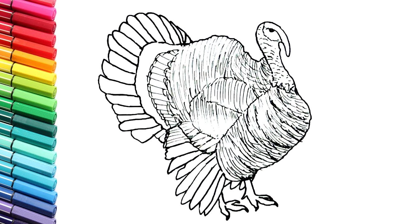 1280x720 Drawing And Coloring Turkey