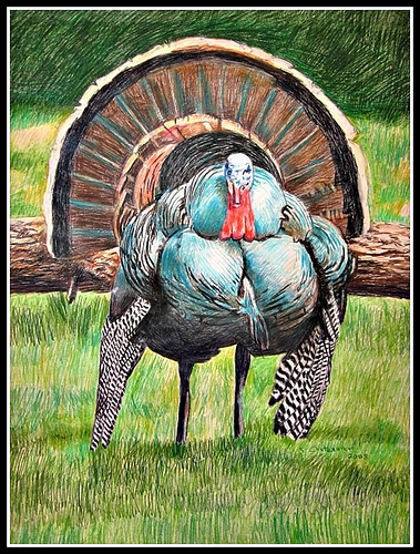 379x500 Turkey By Snc145