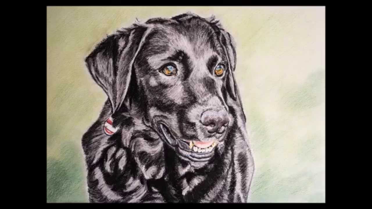 1280x720 Workflow Drawing A Dog In Mixed Media With Charcoal