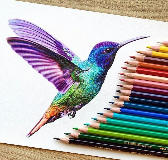637x607 Image Result For Color Pencil Art Doodles Color Pencil Ideas