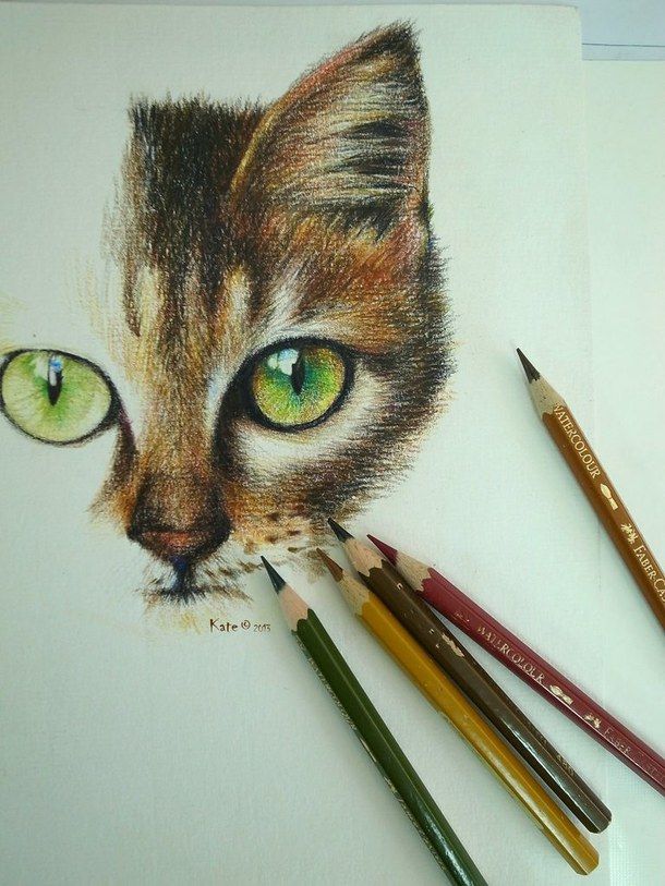 610x813 Pencil, Art, Cat, Drawing, Colored Drawings Cat