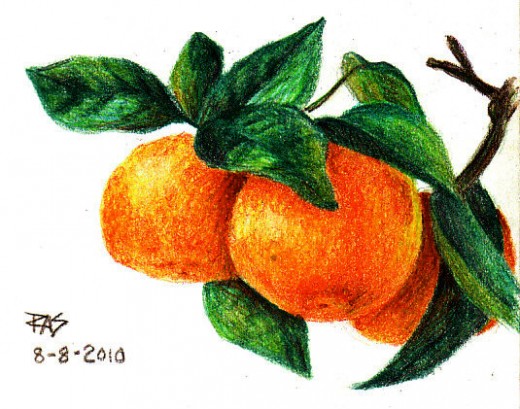 520x409 How To Draw Tangerines With Colored Pencils Feltmagnet