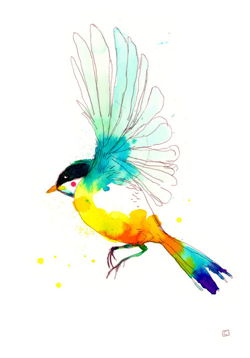 500x714 Colorful Bird Drawing