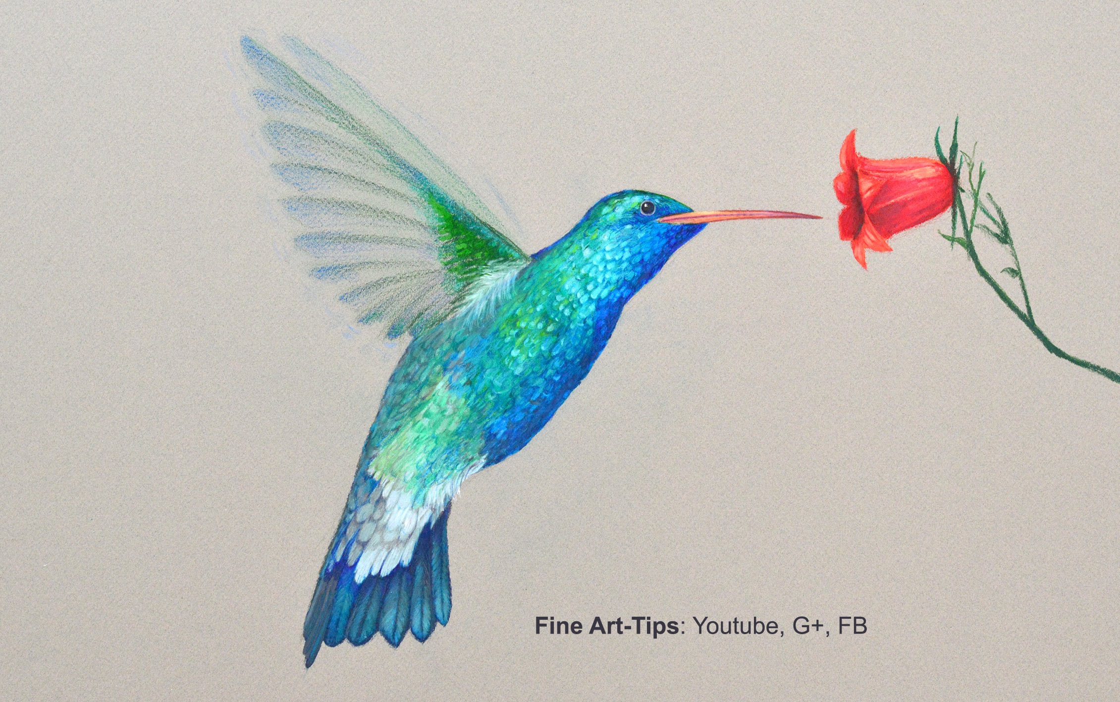 2261x1417 How To Draw A Hummingbird