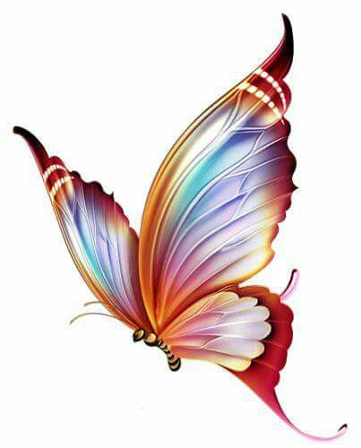 403x500 Butterfly Kisses~ Butterfly~kisses Butterfly