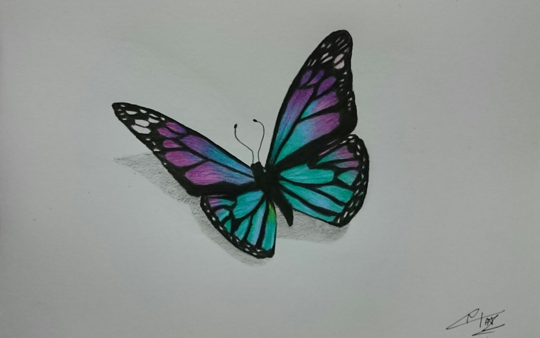 Colorful Butterfly Drawing at GetDrawings | Free download