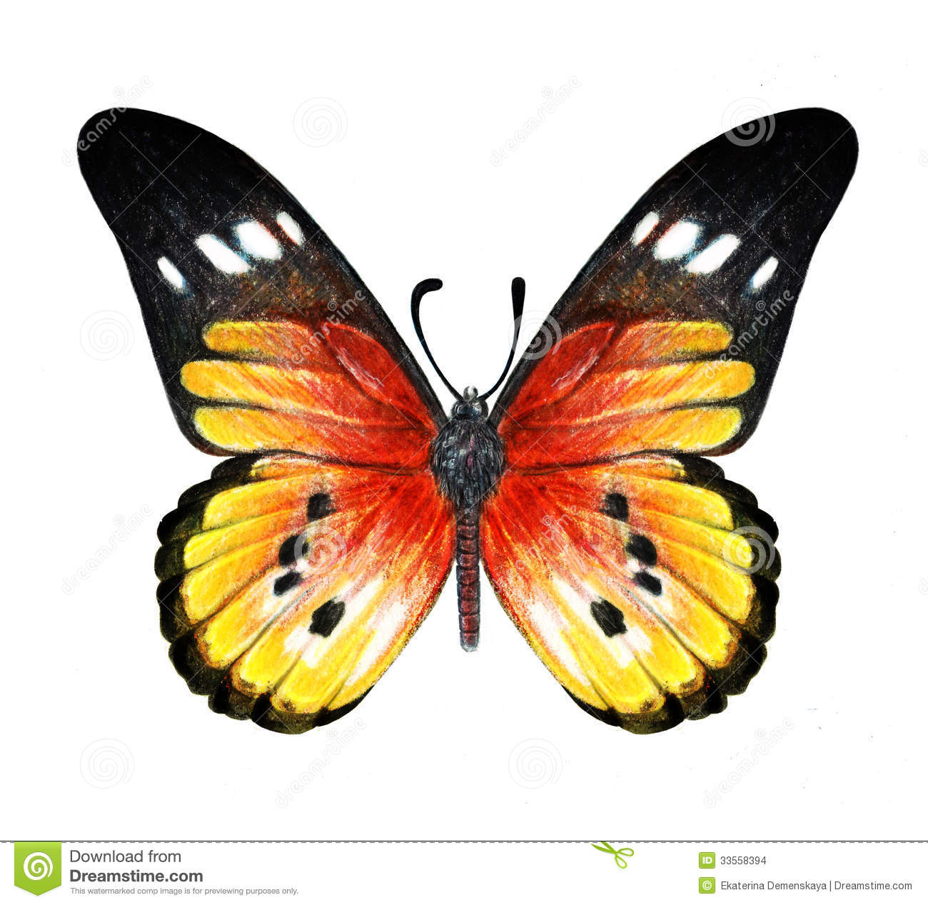 1300x1268 Colored Pencil Butterfly Stock Images Hand Drawn Butterfly