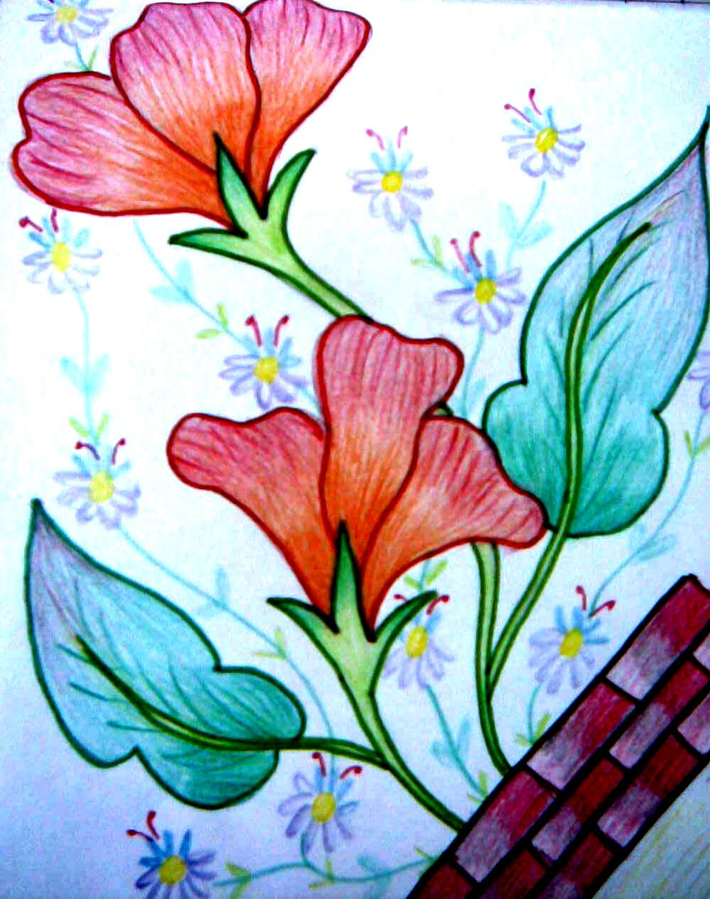 1001x1267 Simple Colorful Drawing Boundless24x7