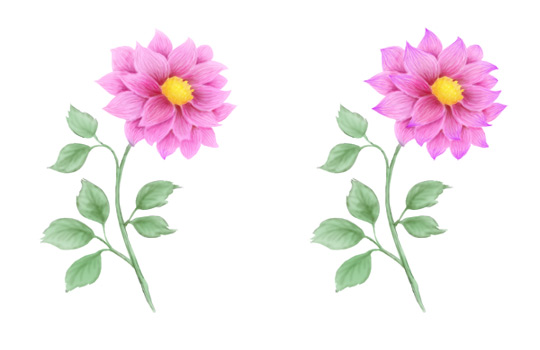 540x350 How To Draw A Flower Step By Step