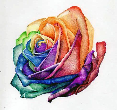 489x458 Image Result For Flower Drawing Colour Art Of Teaching