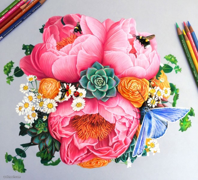 660x599 Flowers Color Pencil Drawing By Morgan Davidson 16