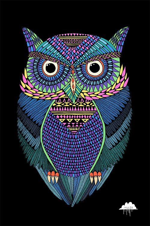 500x750 Pin By Oksana On Owl, Owl Art And Bird