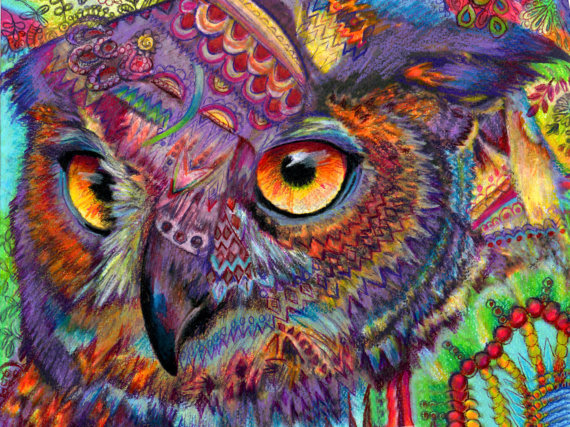 570x427 Original Art Drawing 16x20 Owl Concentration Colorful Owl